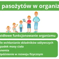 Pasożyty u dzieci: Kluczowe objawy i co robić dalej?
