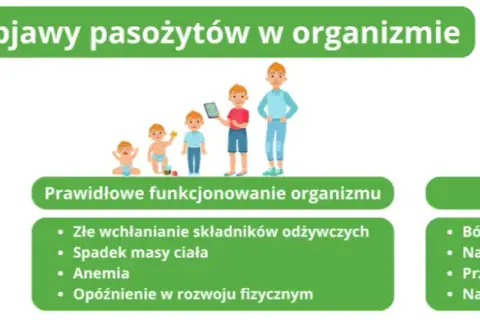 Pasożyty u dzieci: Kluczowe objawy i co robić dalej?